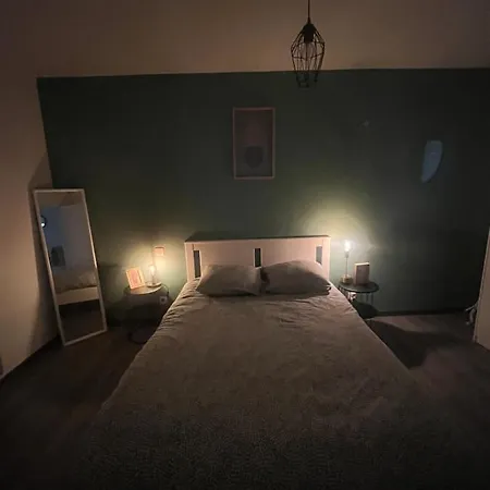 Cosy Hyper Centre 公寓 科尔马