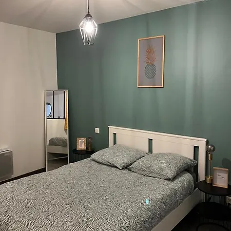 Cosy Hyper Centre דירה קולמר