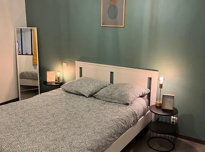 Apartment Cosy Hyper Centre *